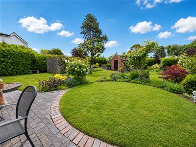 Picture 26